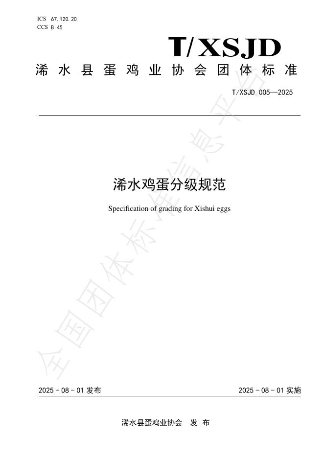 T/XSJD 005-2025 标准预览