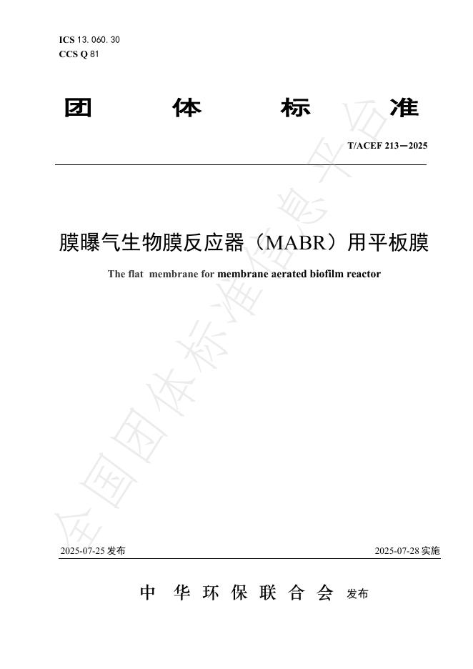T/ACEF 213-2025 标准预览