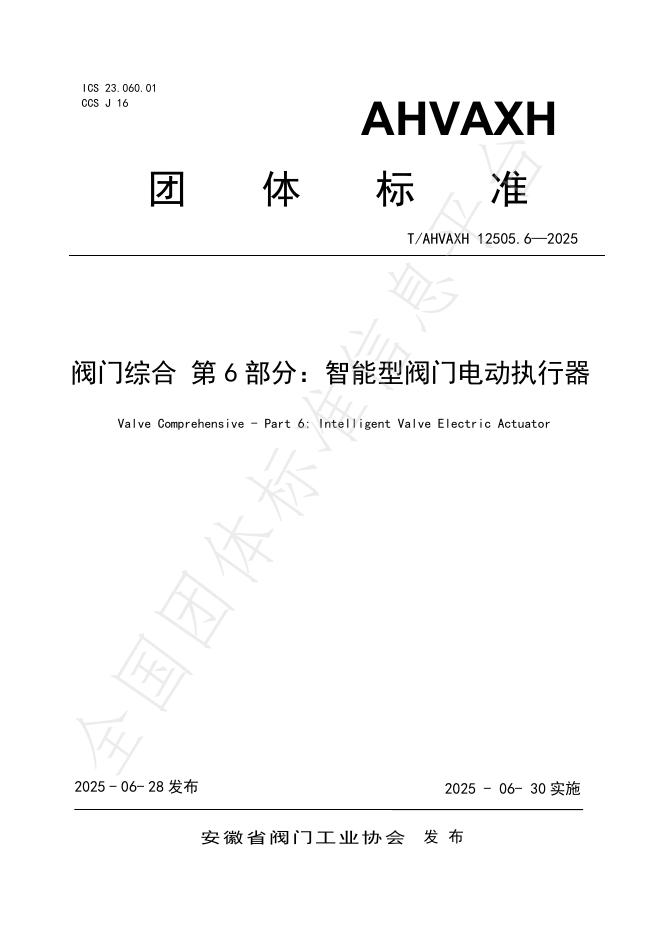 T/AHVAXH 12505.6-2025 标准预览