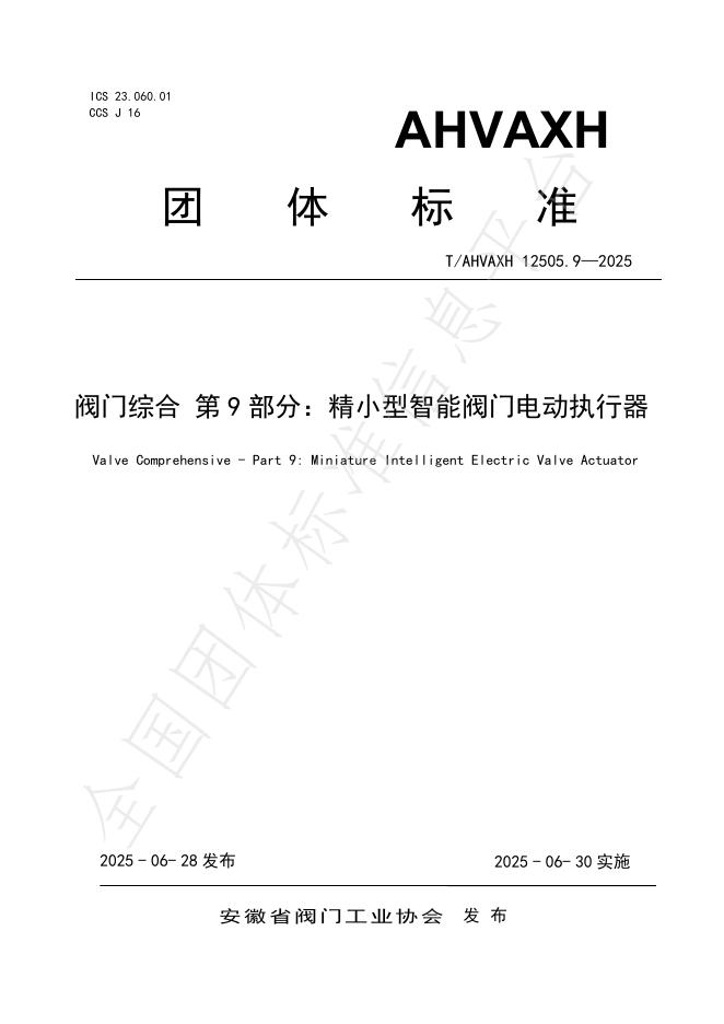 T/AHVAXH 12505.9-2025 标准预览