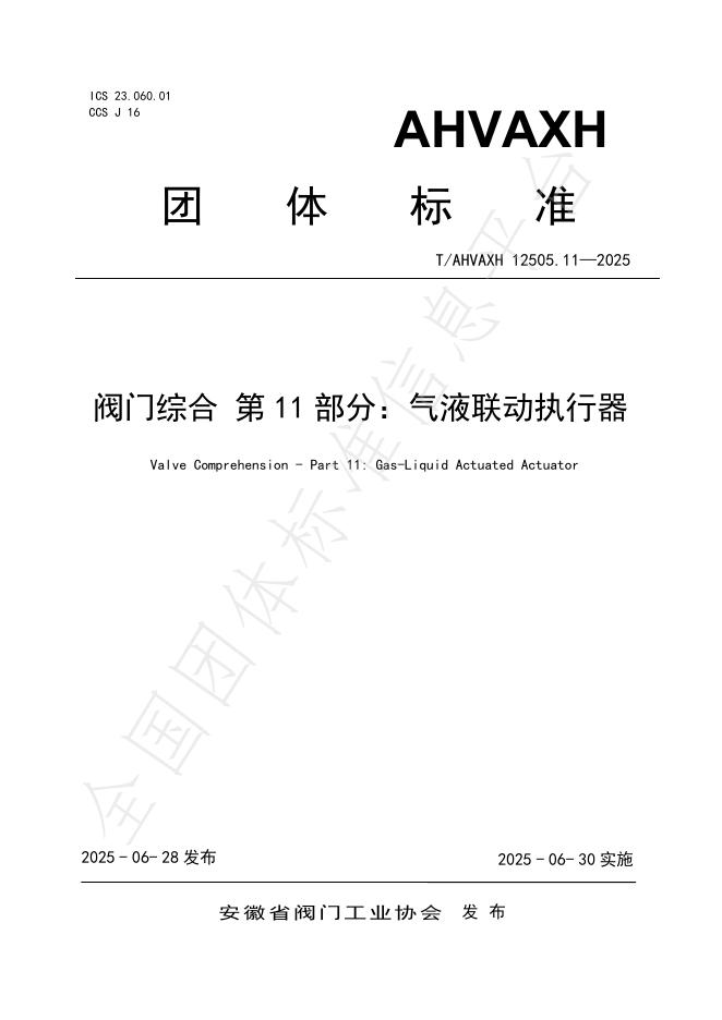 T/AHVAXH 12505.11-2025 标准预览