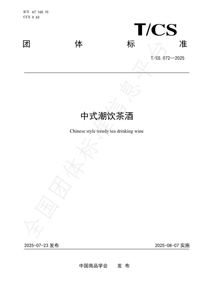 T/CS 072-2025 标准预览