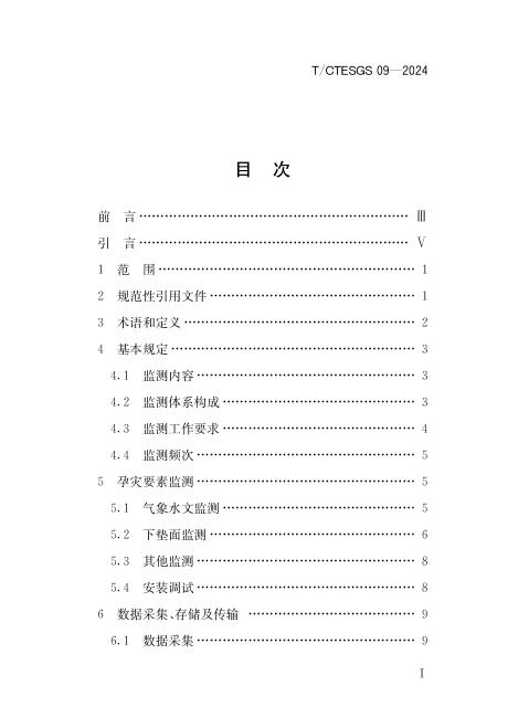 T/CTESGS 09-2024 标准预览