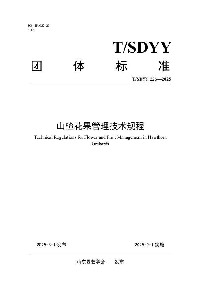 T/SDYY 226-2025 标准预览