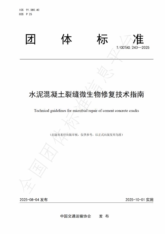 T/CCTAS 243-2025 标准预览
