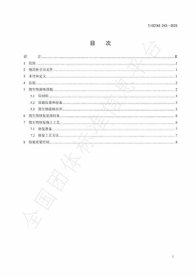 T/CCTAS 243-2025 标准预览