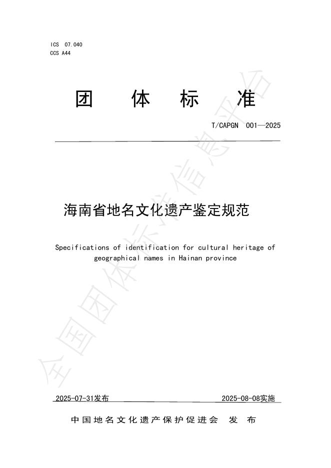 T/CAPGN 001-2025 标准预览