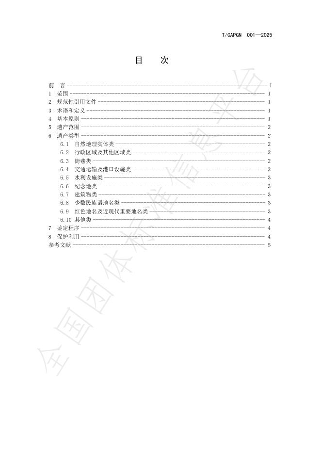 T/CAPGN 001-2025 标准预览
