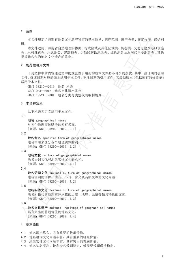 T/CAPGN 001-2025 标准预览