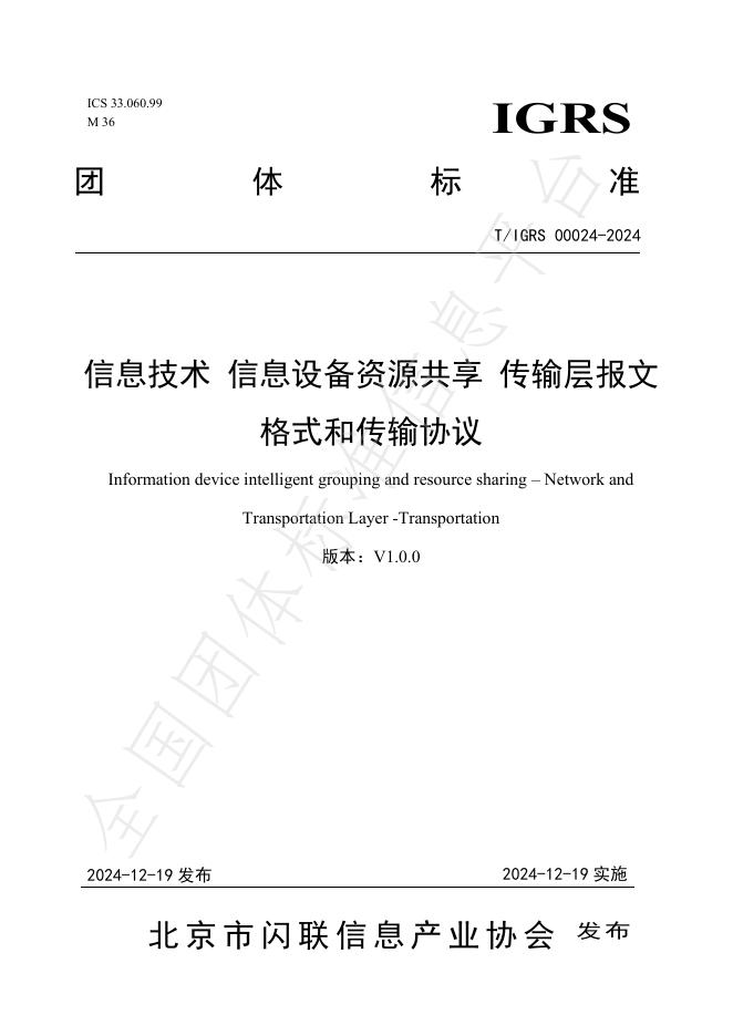 T/IGRS 00024-2024 标准预览