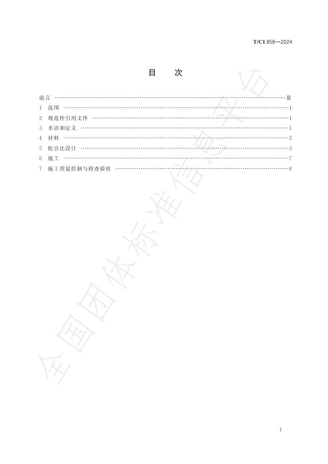 T/CI 858-2024 标准预览