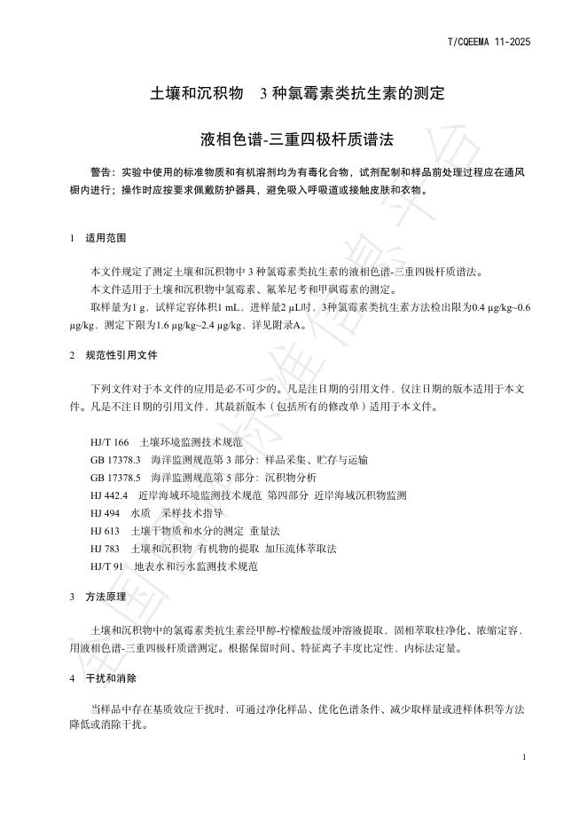T/CQEEMA 11-2025 标准预览