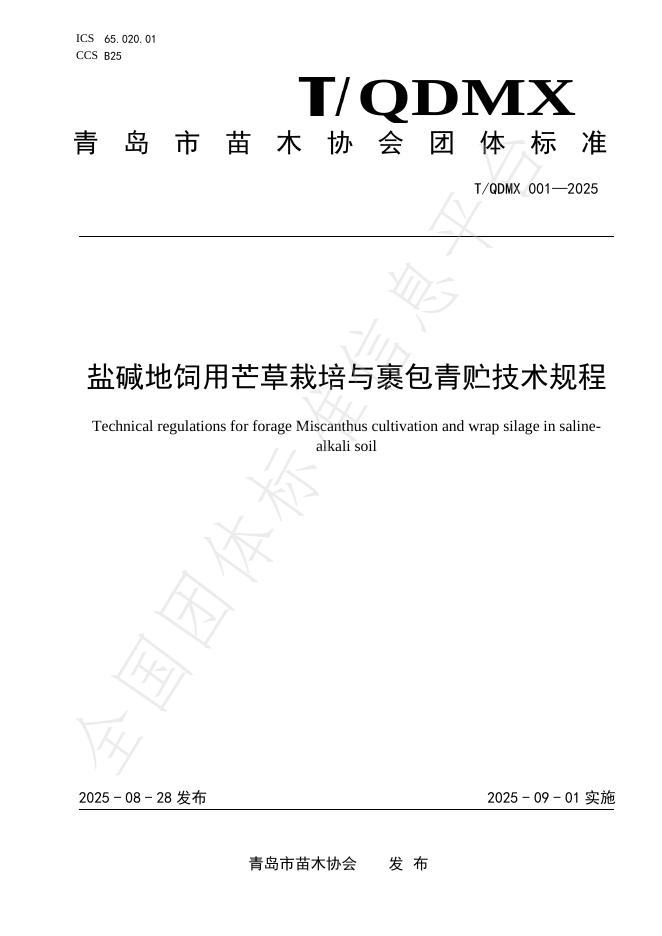 T/QDMX 001-2025 标准预览