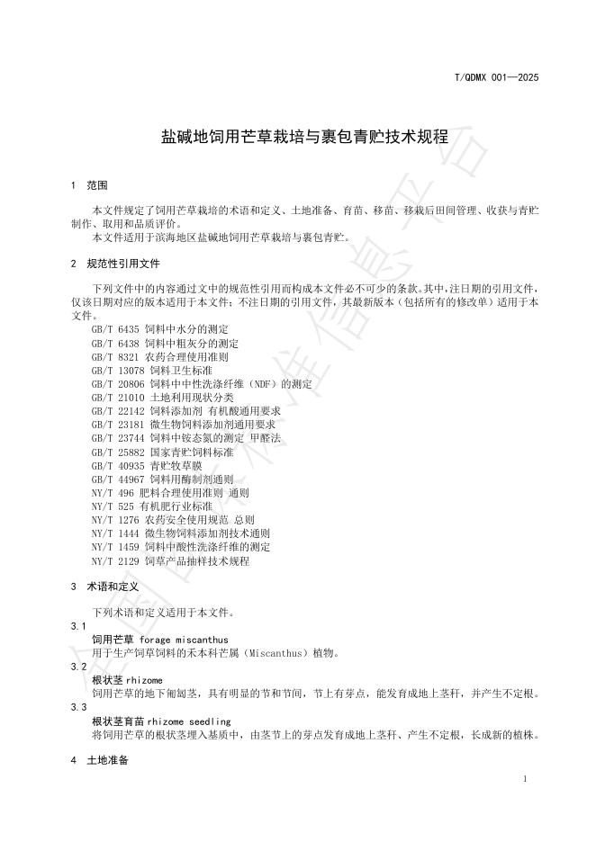 T/QDMX 001-2025 标准预览