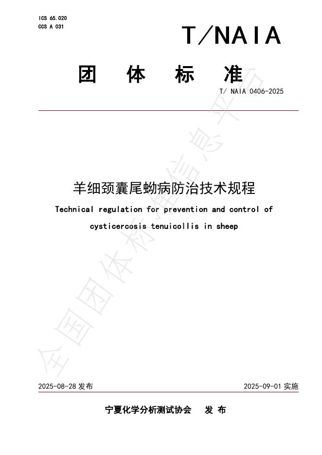 T/NAIA 0406-2025 标准预览