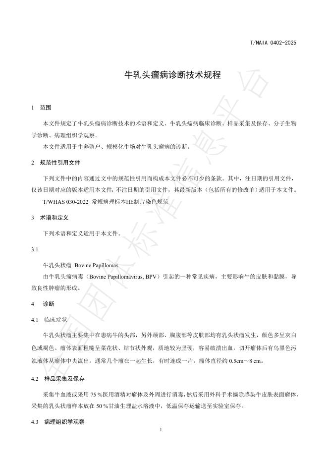 T/NAIA 0402-2025 标准预览