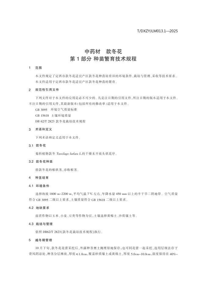 T/DXZYJLM 013.1-2025 标准预览