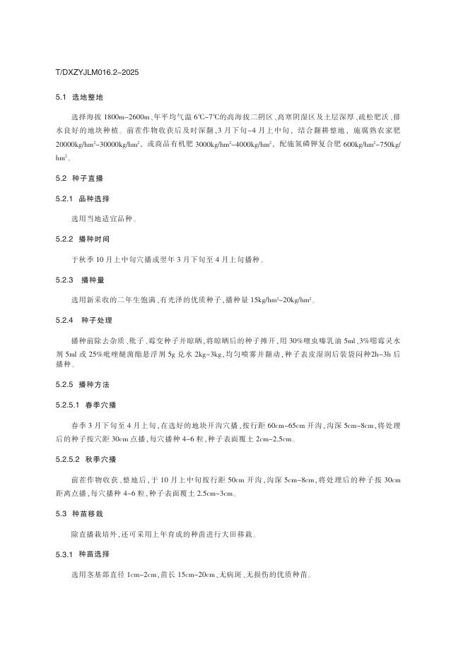 T/DXZYJLM 016.2-2025 标准预览