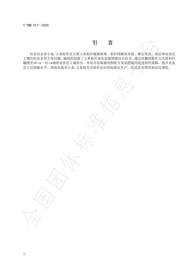 T/TBD 017-2025 标准预览