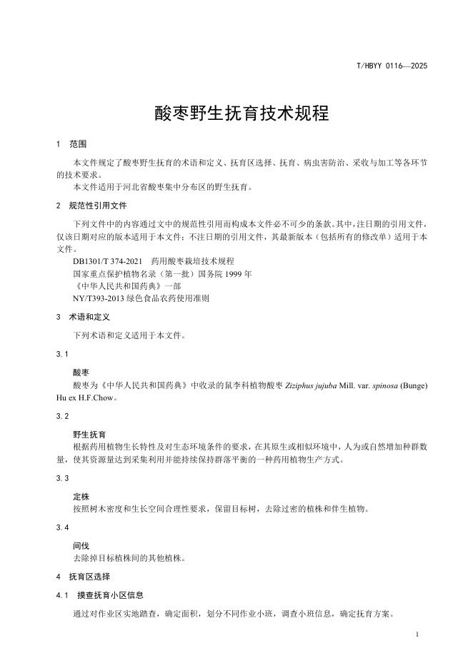 T/HBYY 0116-2025 标准预览