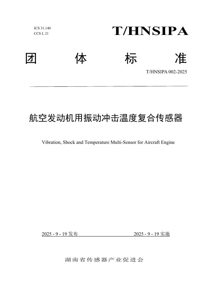 T/HNSIPA 002-2025 标准预览
