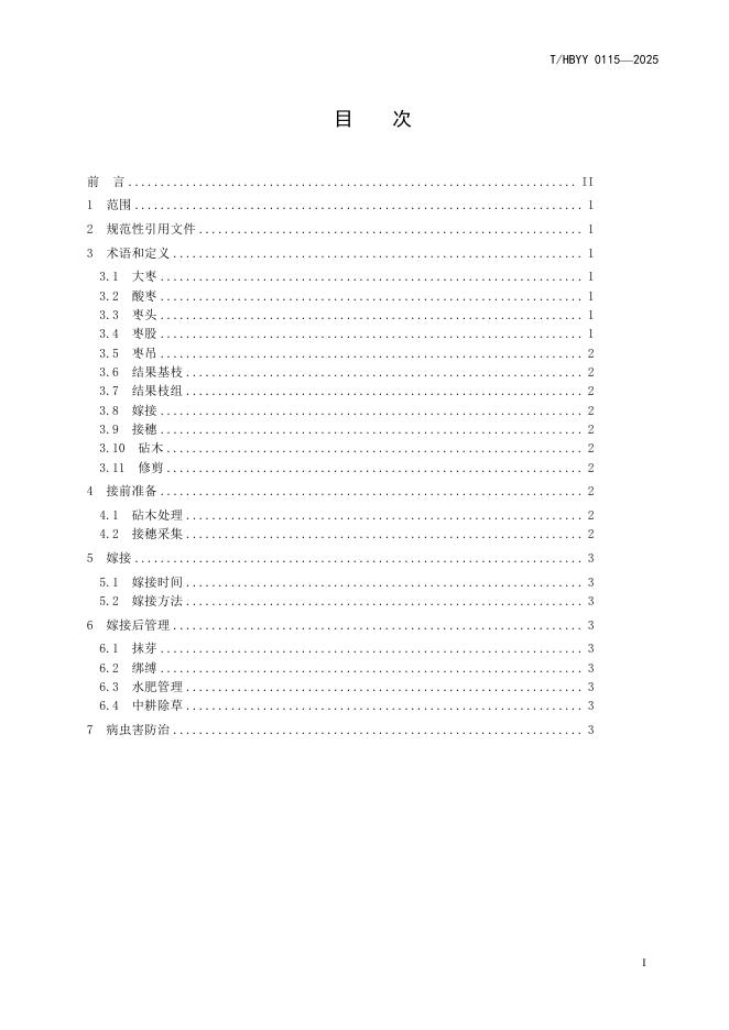 T/HBYY 0115-2025 标准预览