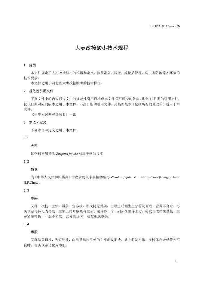 T/HBYY 0115-2025 标准预览
