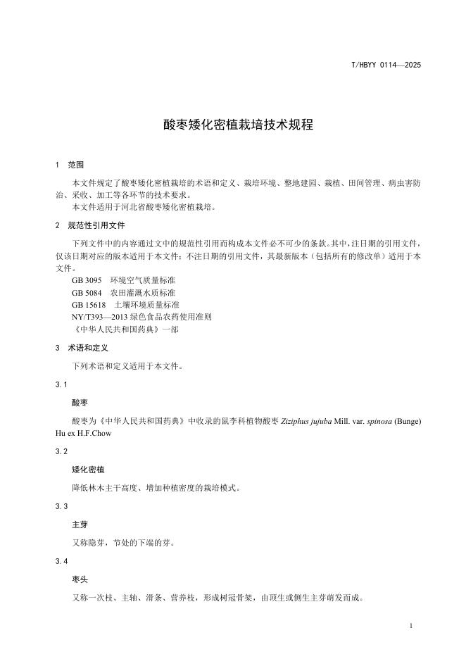 T/HBYY 0114-2025 标准预览