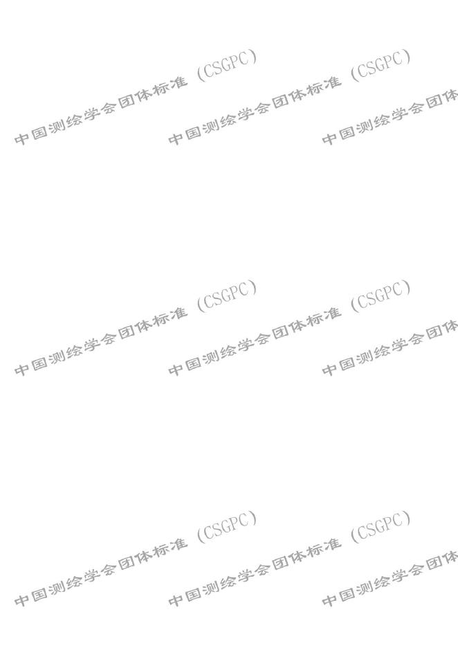 T/CSGPC 55-2025 标准预览