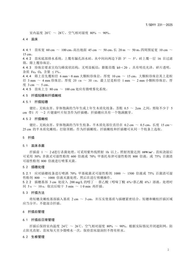 T/SDYY 231-2025 标准预览