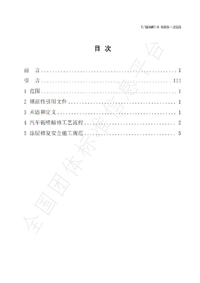 T/SDAMTIA 0005-2025 标准预览