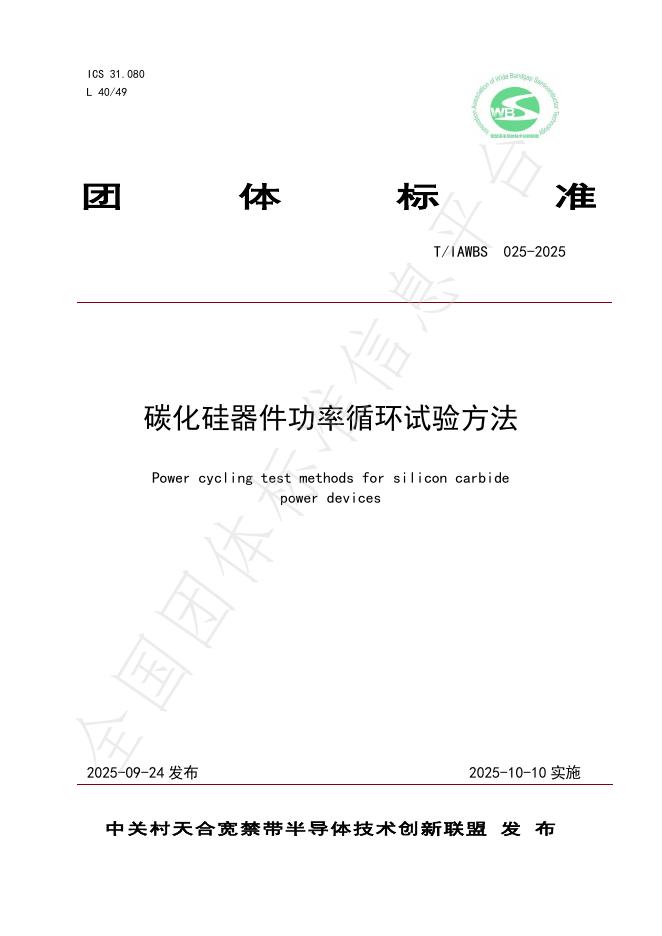 T/IAWBS 025-2025 标准预览