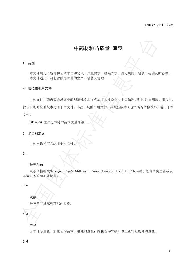 T/HBYY 0111-2025 标准预览