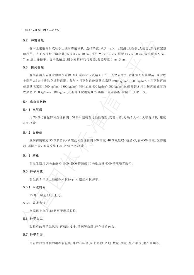T/DXZYJLM 019.1-2025 标准预览