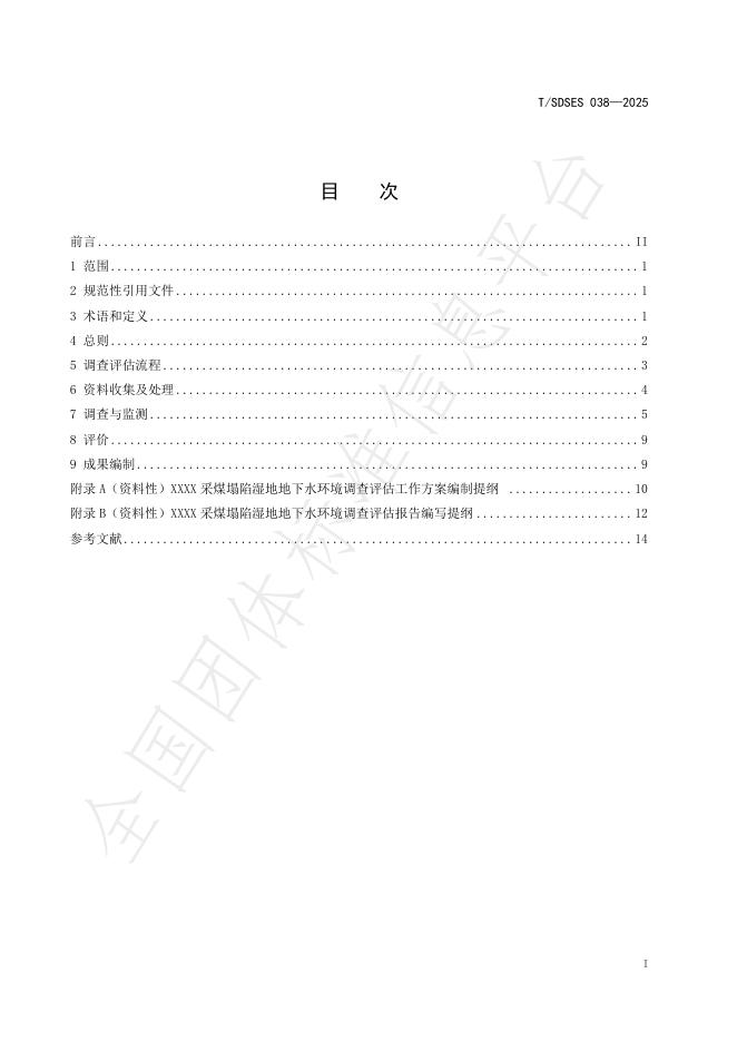 T/SDSES 038-2025 标准预览