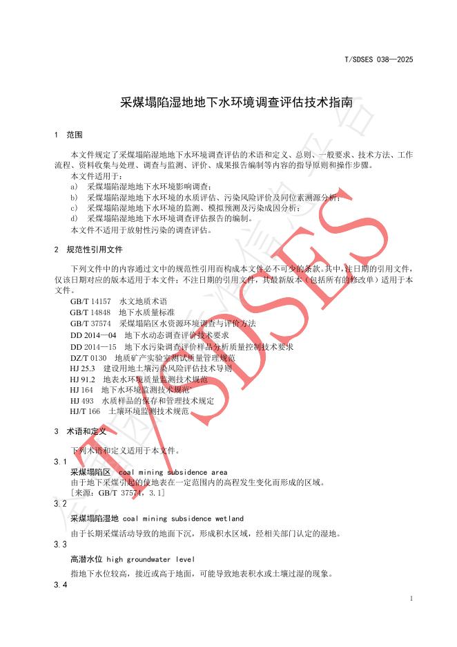 T/SDSES 038-2025 标准预览