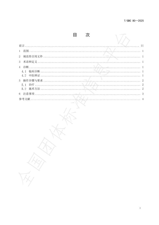 T/GBC 80-2025 标准预览