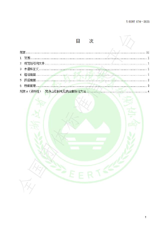 T/EERT 074-2025 标准预览