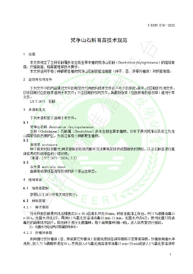 T/EERT 074-2025 标准预览
