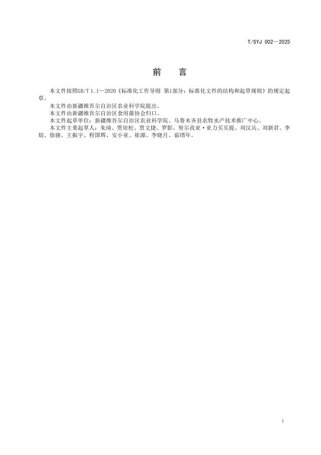 T/SYJ 002-2025 标准预览