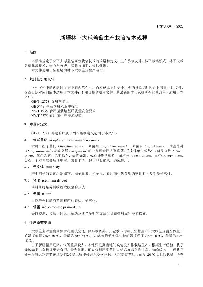 T/SYJ 004-2025 标准预览