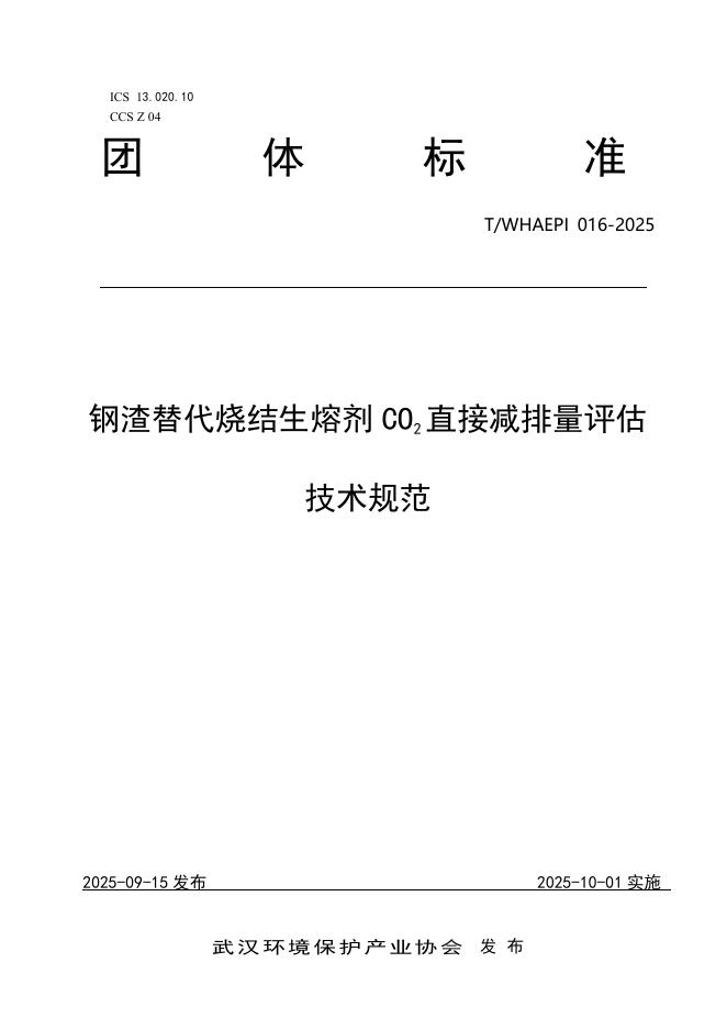 T/WHAEPI 016-2025 标准预览