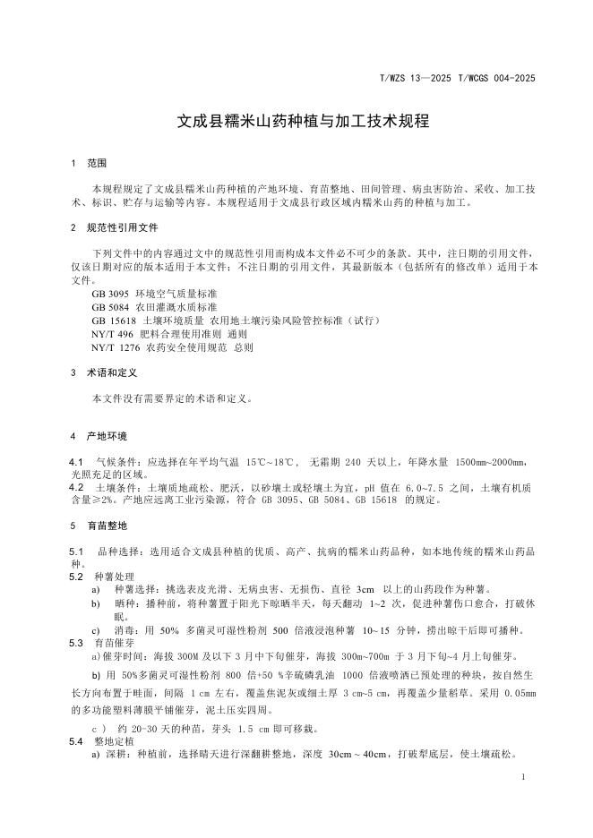 T/WZS 0013-2025 标准预览
