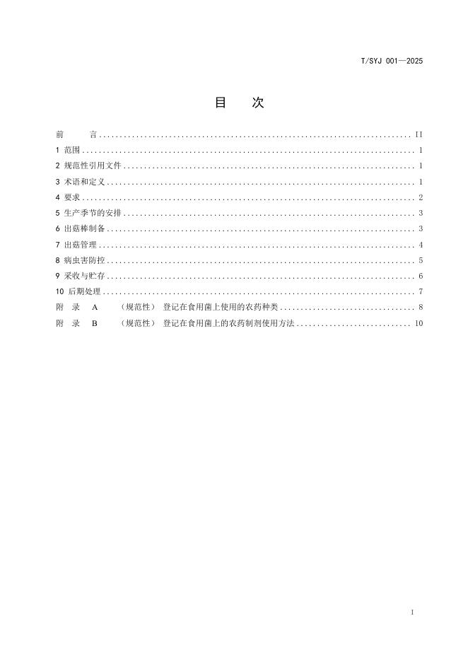T/SYJ 001-2025 标准预览