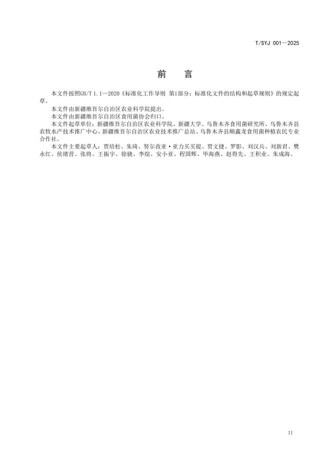 T/SYJ 001-2025 标准预览