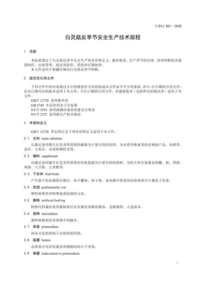 T/SYJ 001-2025 标准预览