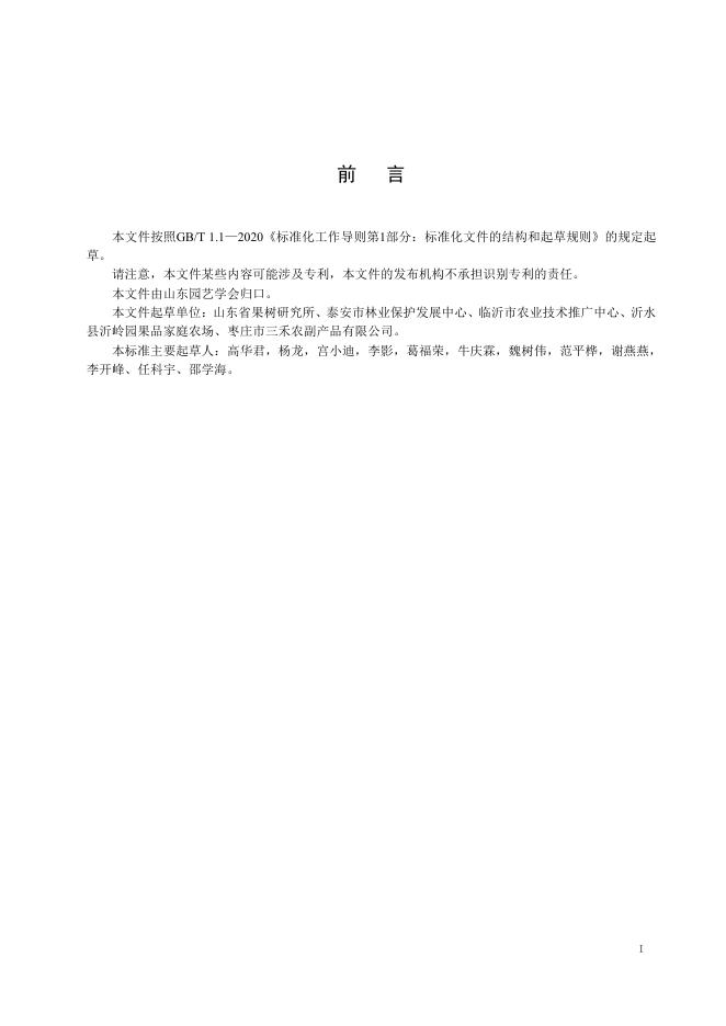 T/SDYY 239-2025 标准预览