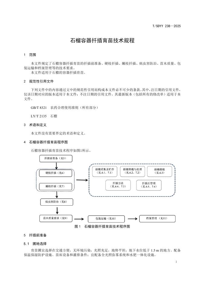 T/SDYY 238-2025 标准预览