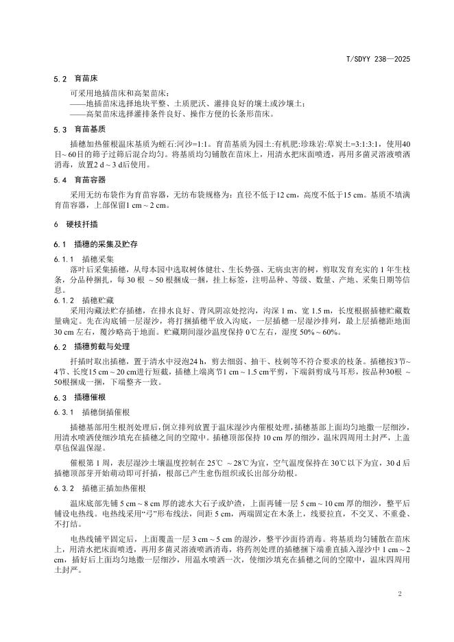 T/SDYY 238-2025 标准预览