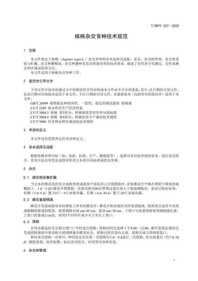 T/SDYY 237-2025 标准预览